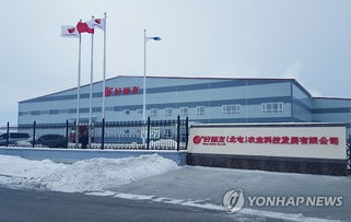 好麗友在華建成土豆產(chǎn)品原料工廠，技術(shù)進(jìn)出口布局深化
